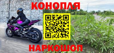 прущие грибы Можга