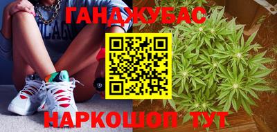 прущие грибы Можга