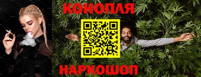 прущие грибы Можга