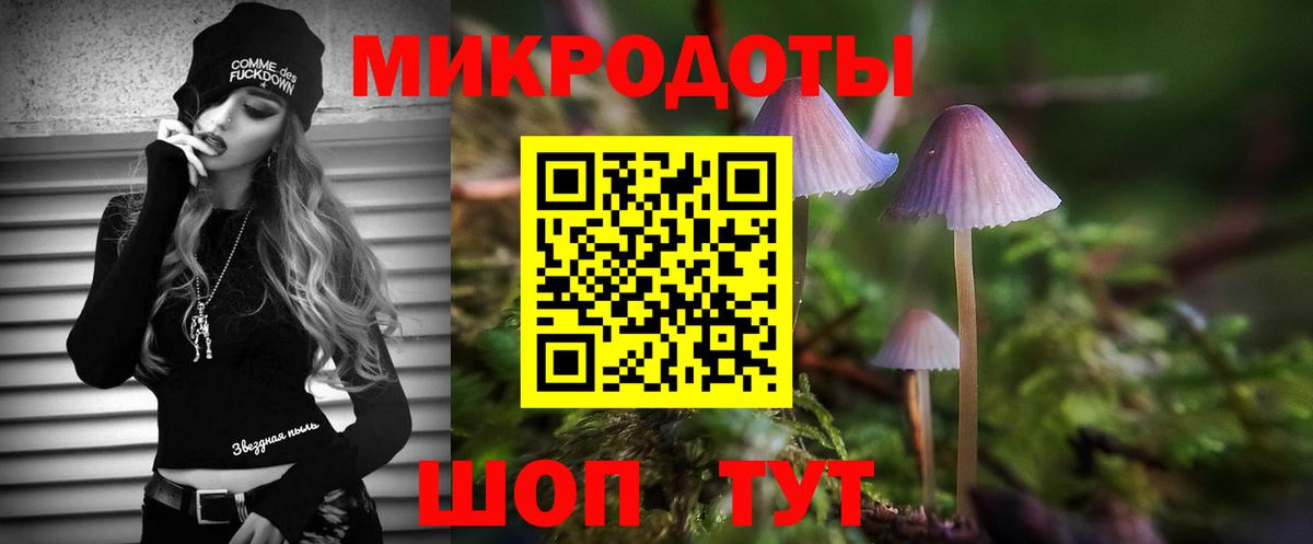 Сыктывкар  Псилоцибиновые грибы мухоморы  даркнет сайт  Вход с VPN 